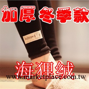 0018 全棉絕不起球秋冬款打底褲韓國原單加絨小貓圖案打底褲批發工廠,批發,進口,代購