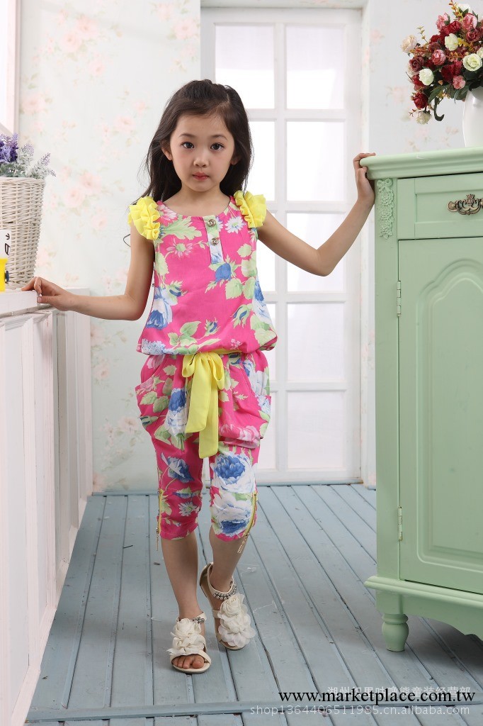廠傢直銷2013夏款女童裝新款套裝童套裝 女童套裝工廠,批發,進口,代購
