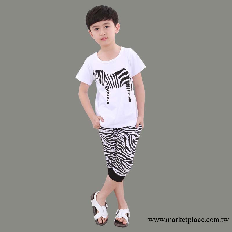 2013夏裝新款兒童套裝 可愛斑馬夏款男童裝女童裝寶寶休閑套裝工廠,批發,進口,代購