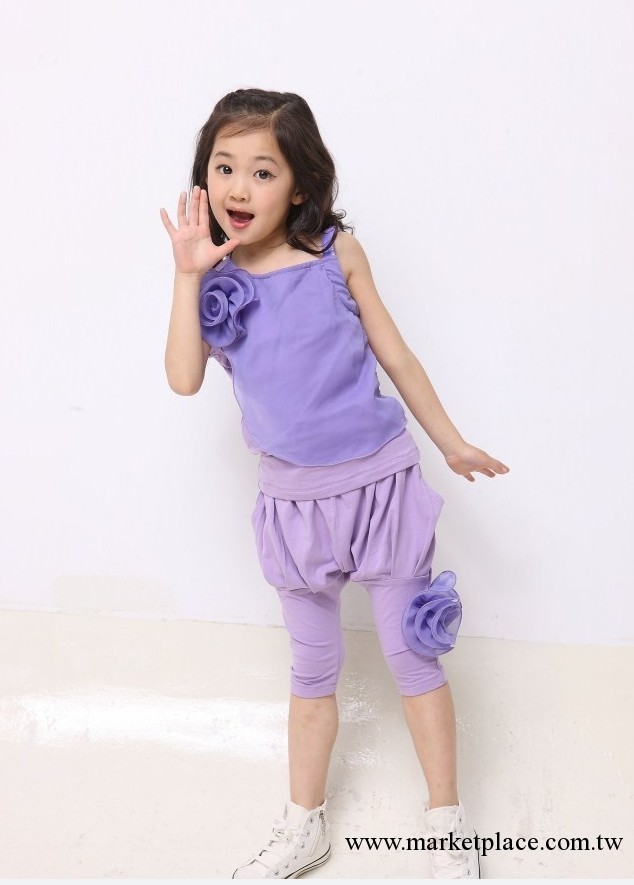 童裝批發2013夏季新款雪紡花朵套裝 中大童兩件套 女童碎花工廠,批發,進口,代購