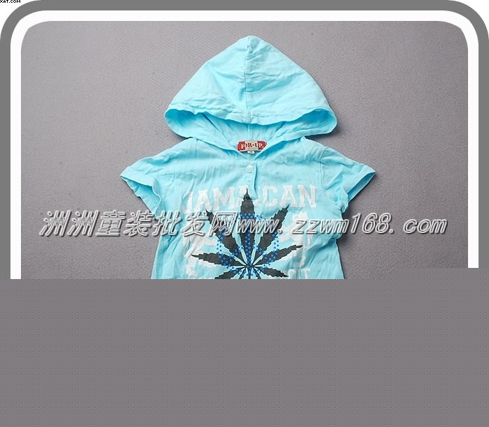 外貿童裝 童裝童T恤批發 美單帶帽印花T恤10041404工廠,批發,進口,代購
