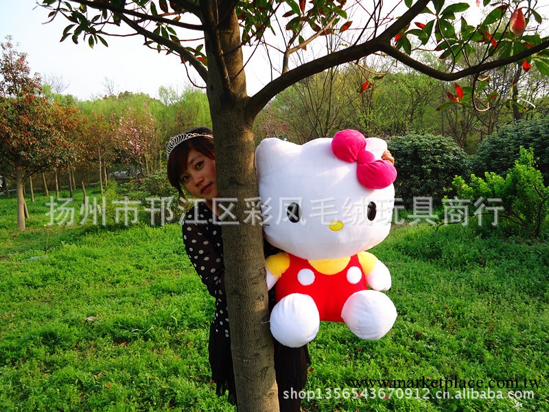 經銷批發 hello kitty公仔 大號毛絨玩具   情侶毛絨玩具工廠,批發,進口,代購