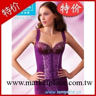 品牌蘭卓麗女式塑身美體內衣批發 收腹托胸瘦身塑身上衣95017工廠,批發,進口,代購