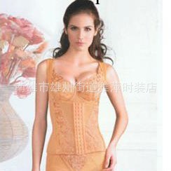 正品泰麗戈妮收腹瘦身無袖腰背夾 磁療記憶鋼骨產後塑身衣批發工廠,批發,進口,代購