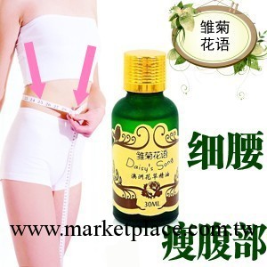 雛菊花語 精油 強效瘦腰腹減肥產品去除贅肉產後減肚子男女瘦身工廠,批發,進口,代購