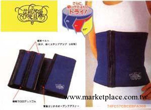 批發零售 莎緹萱琳三段腰帶瘦身健美腰帶 美體瘦身腰帶 束腰帶工廠,批發,進口,代購