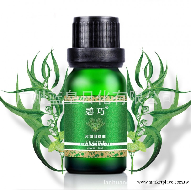 供應瘦身緊膚精油 精油批發 美容精油加工工廠,批發,進口,代購