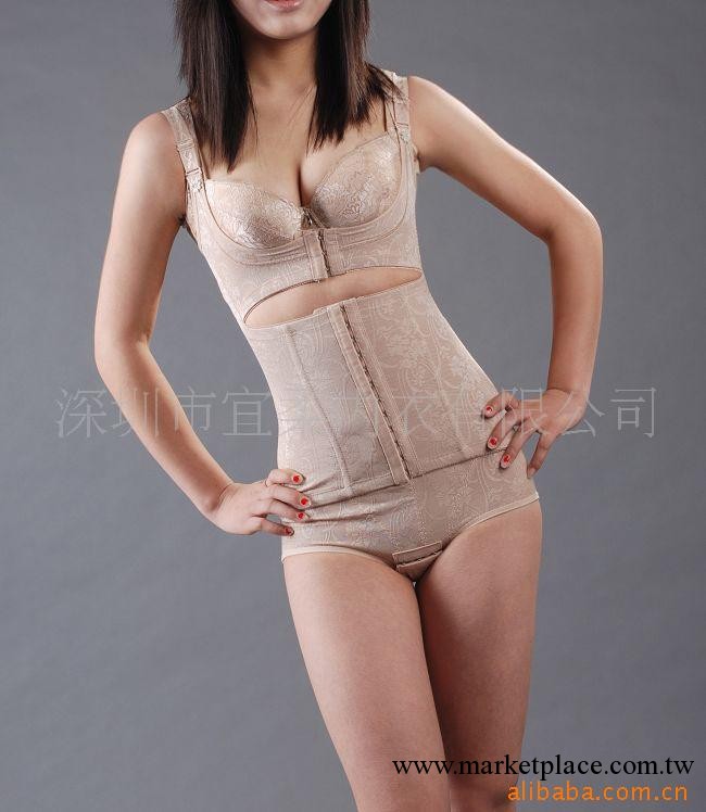 批發露莎莉美體衣/連體瘦身衣/內衣/三角束身矯正駝背束身衣6709工廠,批發,進口,代購
