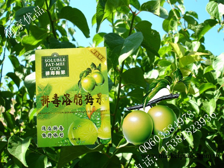 批發排毒瘦身梅  香港禦春堂排毒溶脂梅  養顏排毒瘦身三合一工廠,批發,進口,代購