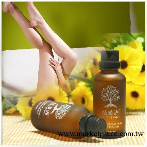 瘦腿精油送刮痧板植芳源精油瘦小腿強效瘦身瘦大腿工廠,批發,進口,代購