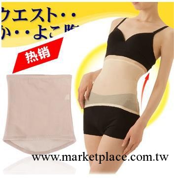 Y-4049 超薄束腰帶 瘦身腰帶 加強束腹束腰帶瘦腰帶 收腰帶束腰帶工廠,批發,進口,代購