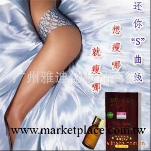 現貨嬌奈兒系列燃脂纖體精油復方瘦身精油瘦身精油收腹瘦腰瘦腿工廠,批發,進口,代購