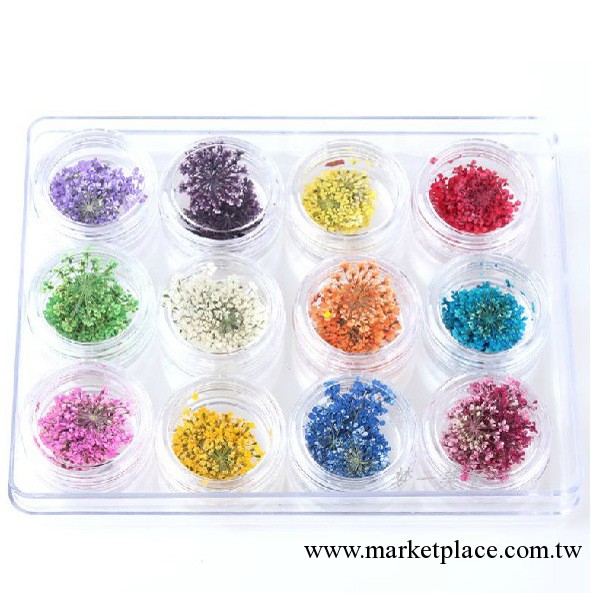 美甲飾品套裝 立體幹花真花 指甲裝飾品工具用品 12色盒裝工廠,批發,進口,代購
