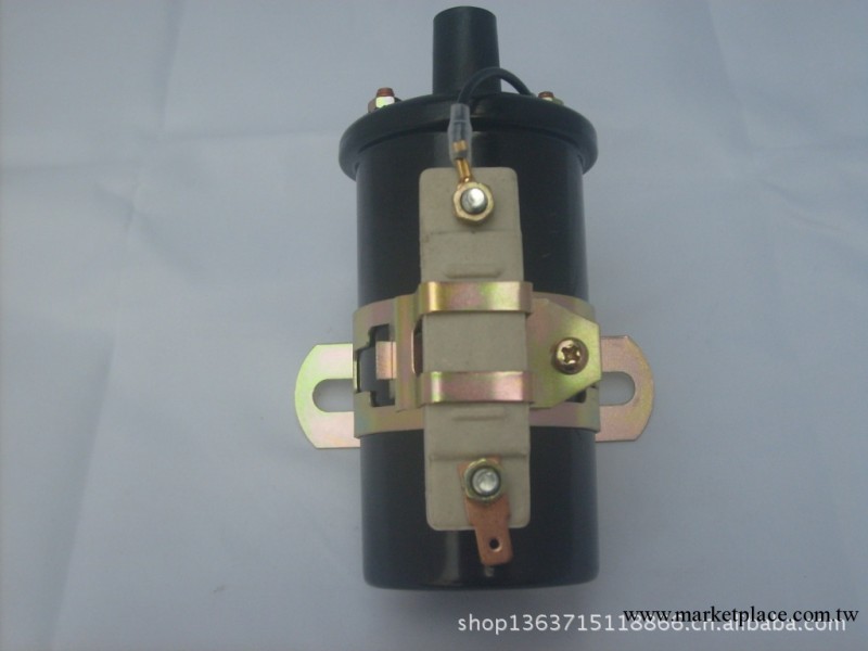 油式汽車點火線圈適用車型 TOYOTA 90919-02098工廠,批發,進口,代購