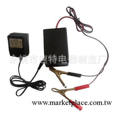 供應汽車電瓶保護器工廠,批發,進口,代購