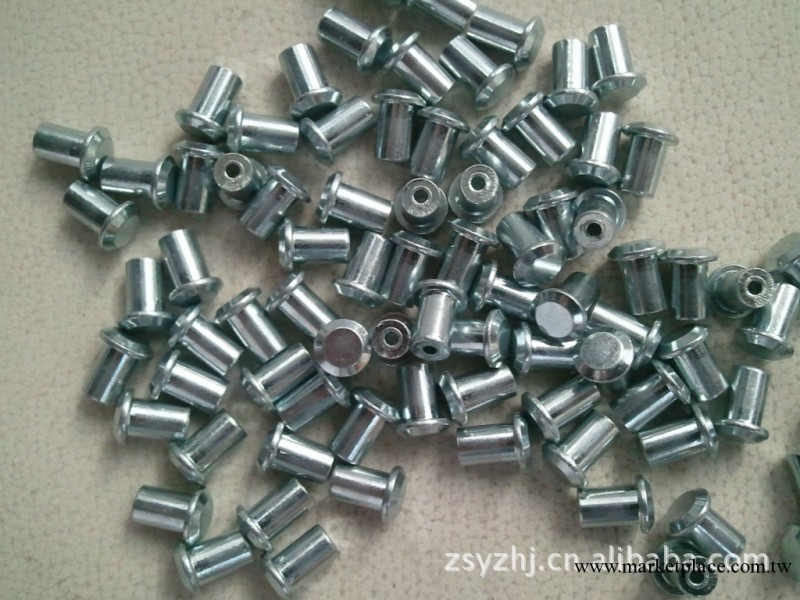 株洲硬質合金廠 供應 北歐汽車輪胎防滑釘子8-13工廠,批發,進口,代購