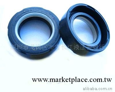 供應 汽車油封 CNBW 進口油封 進口密封件工廠,批發,進口,代購