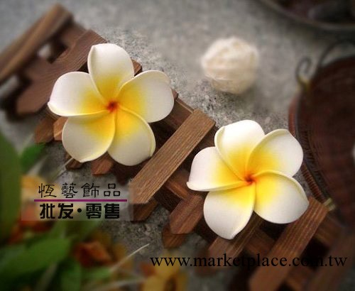 夏威夷泡沫雞蛋花frangipani 7cm工廠,批發,進口,代購