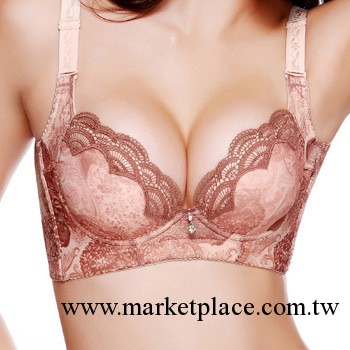 精油珠新女內衣胸罩 調整型文胸聚攏厚小胸文胸 批發 一件代發829工廠,批發,進口,代購