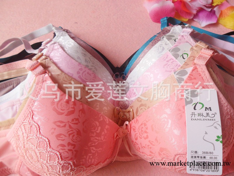 2013新款特價蕾絲提花面文胸 舒適無鋼圈三排扣女士內衣胸罩批發工廠,批發,進口,代購