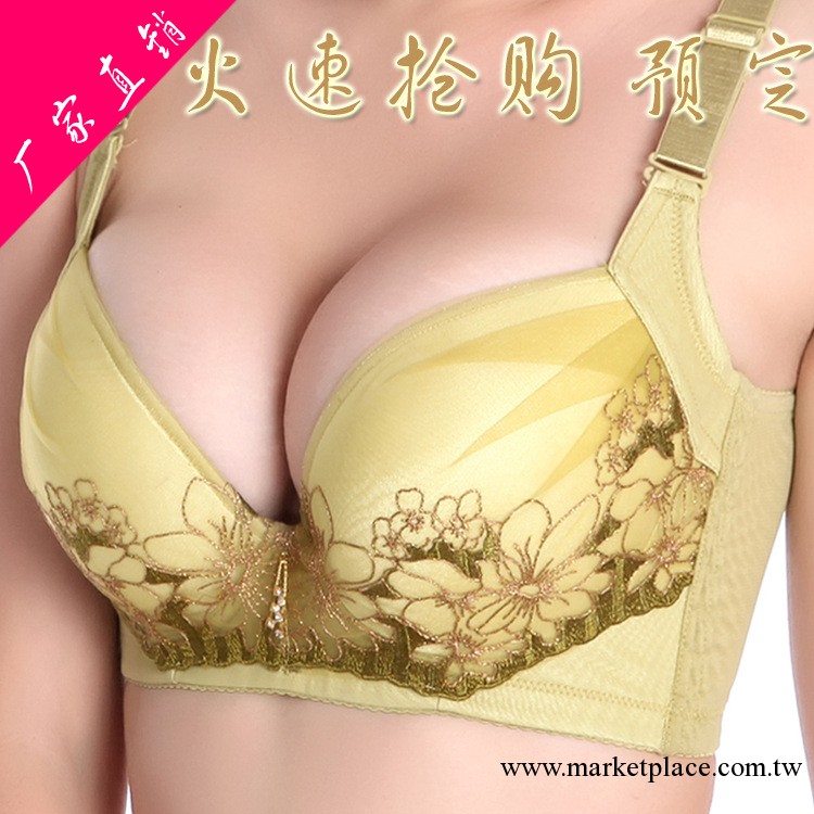 廠傢直銷天竺美人紫荊花磁療刺繡性感品牌內衣聚攏調整型文胸批發工廠,批發,進口,代購