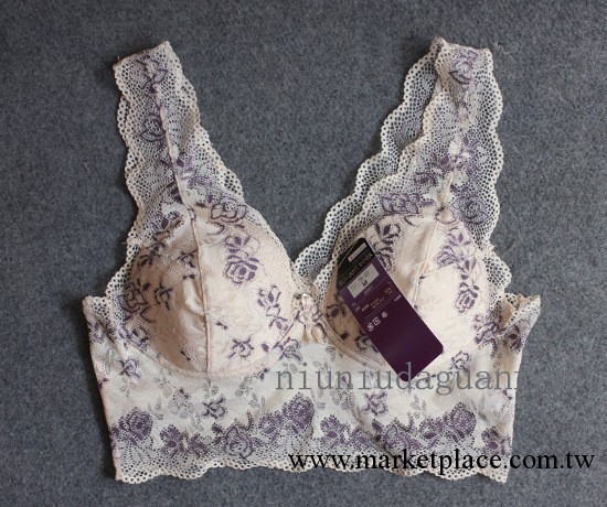 外貿原單 進口蕾絲面料無鋼圈托文胸內衣 性感蕾絲文胸工廠,批發,進口,代購