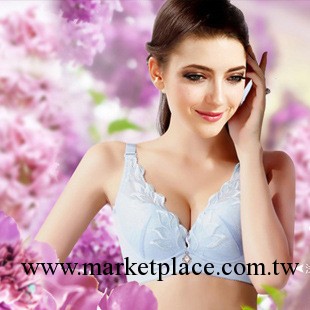 T2130浴火鳳凰調整型文胸 薄款刺繡側收全聚攏內衣胸罩 批發加盟工廠,批發,進口,代購