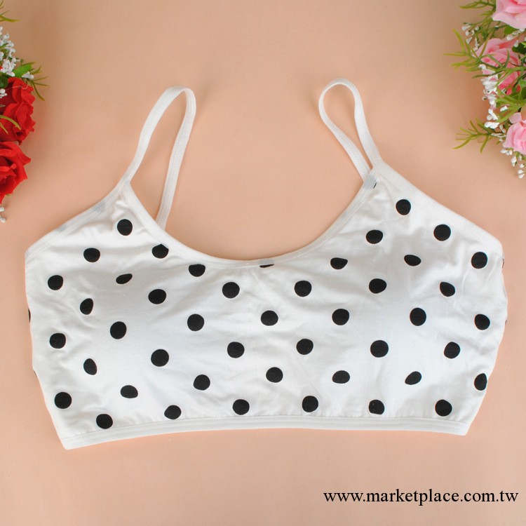蓓婭琪  抹胸/裹胸/少女內衣學生文胸無鋼圈bra帶有胸墊胸罩607工廠,批發,進口,代購