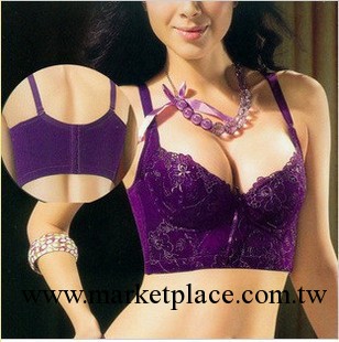婷美 黛安芬同款魔鬼瘦六扣上薄下厚托胸文胸 收副乳塑形美體內衣工廠,批發,進口,代購