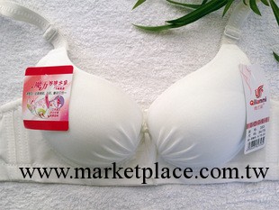 綺蘭妮文胸批發 性感聚攏A杯加厚調整型精油水袋光面小胸內衣353工廠,批發,進口,代購