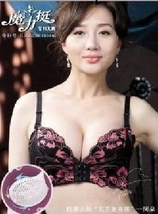 供應夏娃之秀魔力挺內衣 廠價直銷魔力挺一代 文胸 魔力挺工廠,批發,進口,代購