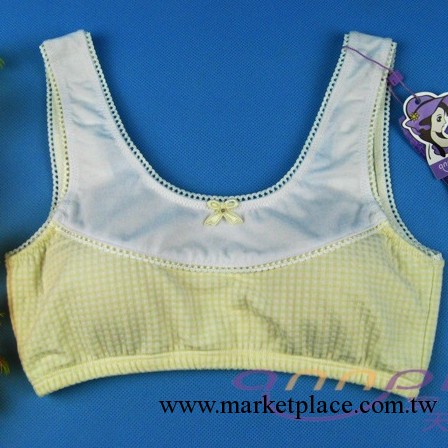 經典爆款 可拆卸小棉墊 少女內衣背心 批發 胸罩 文胸 少女內衣工廠,批發,進口,代購