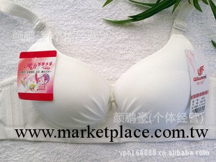 爆款文胸批發 性感深V聚攏加厚調整精油水袋按摩光面小胸內衣353工廠,批發,進口,代購