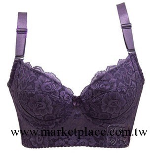 美容院專供文胸水玲瓏塑身聚攏調整型胸罩大遠紅外線美體內衣5扣工廠,批發,進口,代購