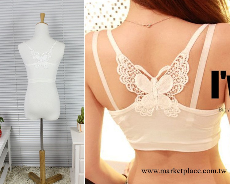 夏季新款鏤空蝴蝶女裝 性感束胸蕾絲莫代爾抹 胸裹胸吊帶背心內衣工廠,批發,進口,代購