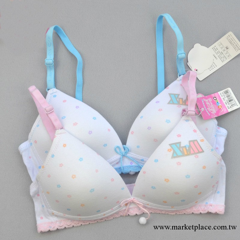 可愛花朵花紋少女內衣 蕾絲包邊無鋼學生文胸 青春期A杯工廠,批發,進口,代購
