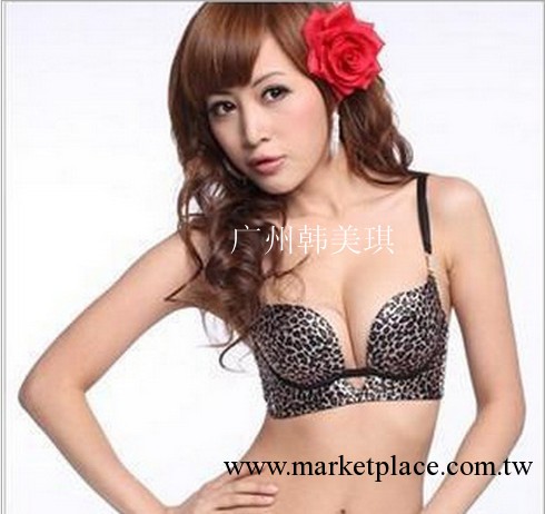 岱夫人品牌486 爆款性感亮鉆W杯三排扣聚攏內衣套裝工廠,批發,進口,代購