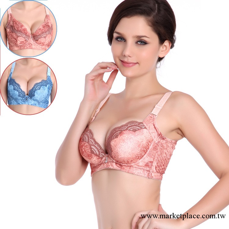 廠傢直銷精油水袋水溶花品牌內衣 蝦紅厚杯聚攏調整型文胸批發工廠,批發,進口,代購