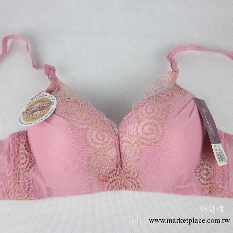 文胸批發 深V聚攏型文胸 時尚新款女士內衣胸罩 清倉特價文胸工廠,批發,進口,代購