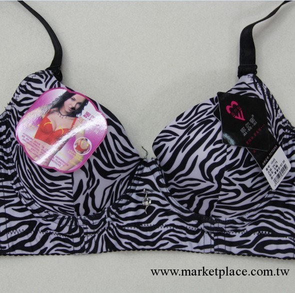 四排扣品牌內衣 斑馬紋四排扣文胸 大碼內衣文胸 聚攏調整型文胸工廠,批發,進口,代購