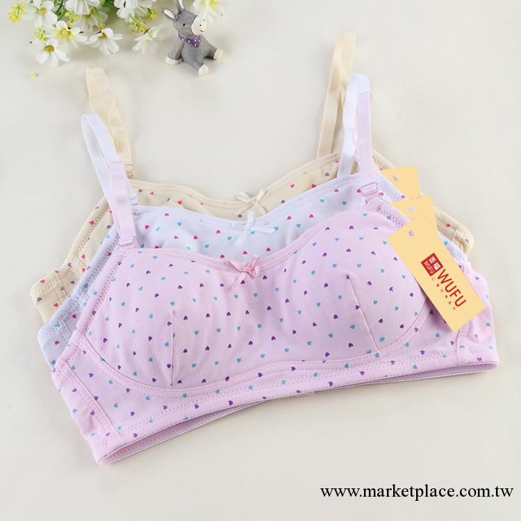 學生發育期棉抹胸 中小學生文胸乳罩批發 少女文胸內衣薄款批發工廠,批發,進口,代購