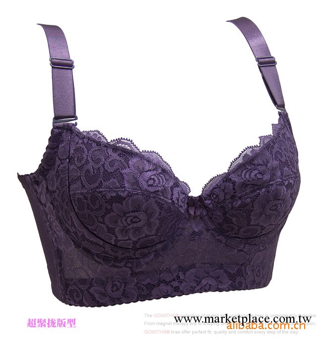 歌維思美體品牌內衣批發紫色風情聚攏收副乳專業調整型文胸1027工廠,批發,進口,代購