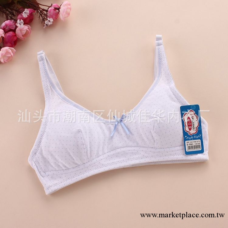 廠傢直銷 批發 薄款無鋼圈可愛少女文胸 發育期學生內衣 1045工廠,批發,進口,代購