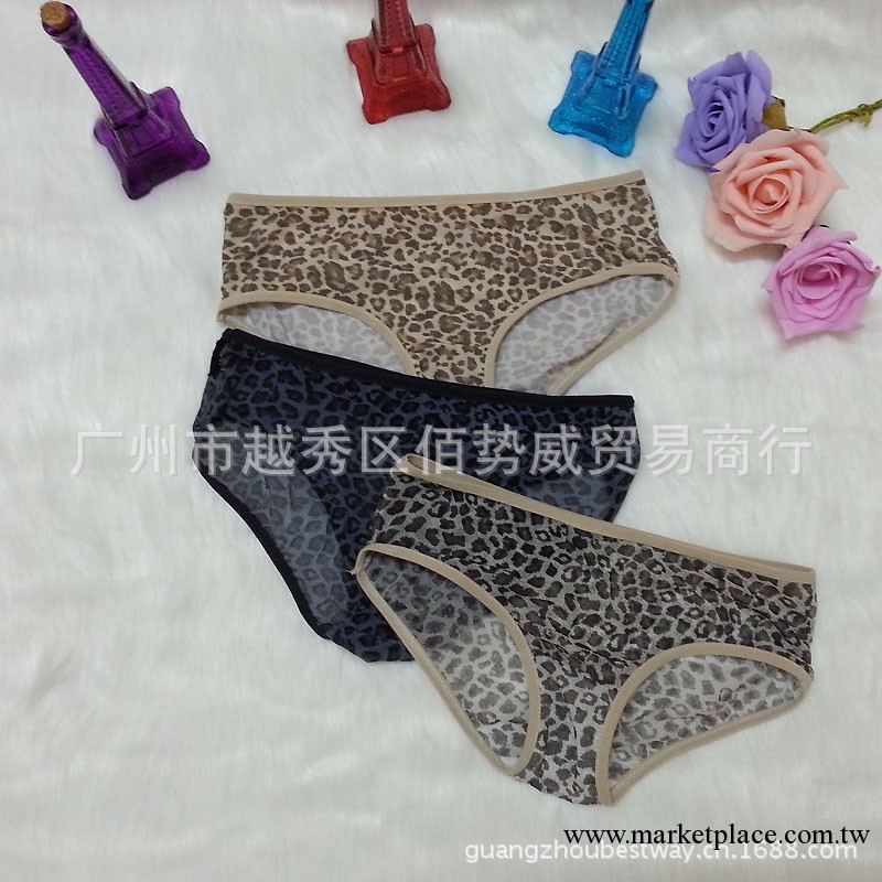 特價性感豹紋網紗少女內褲 低腰內褲 1塊錢內褲 內衣批發 特價工廠,批發,進口,代購