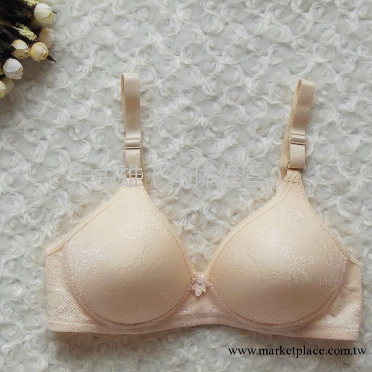 舒適無鋼圈文胸 經典提花調整型內衣 花之雅327  普寧文胸批發工廠,批發,進口,代購