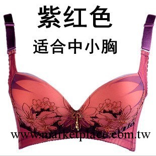 廠傢直銷 2013新款 紫荊花刺繡文胸 聚攏 側收副乳調整型內衣批發工廠,批發,進口,代購