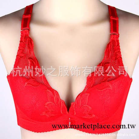 金色美泉 聚攏調整 廠傢直銷 收副乳內衣 浴火鳳凰文胸批發 1218工廠,批發,進口,代購