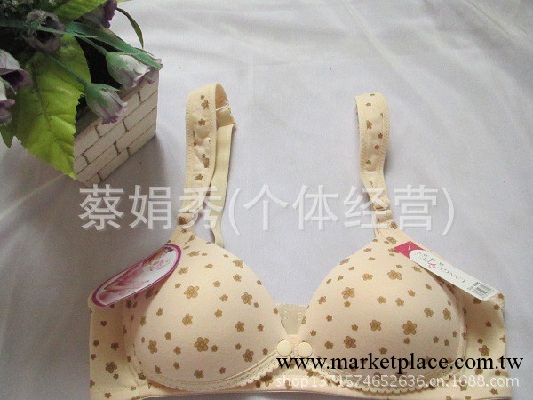 廠傢直銷 孕婦前開扣哺乳內衣定型防下垂無鋼圈聚攏上托文胸批發工廠,批發,進口,代購