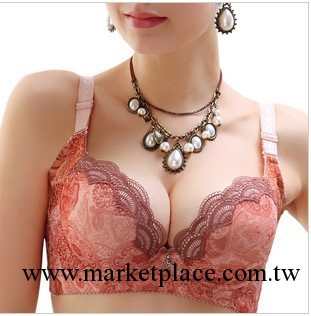 文胸  彩筆生花精油加柔珠 紅外線調整型內衣 一件批發工廠,批發,進口,代購