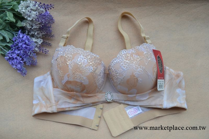 清貨款：2868#加厚杯三排扣內衣 文胸批發工廠,批發,進口,代購